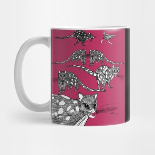 Tasmanian Spotted-tailed Quolls in the Pink Mug